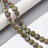 Natural Unakite Beads Strands G-K359-C15-01-2