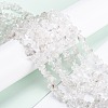 Natural Quartz Crystal Beads Strands G-G011-03-4