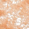 Frosted Colours Glass Seed Beads SEED-H003-06C-3