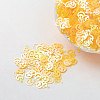 Ornament Accessories Plastic Paillette/Sequins Beads PVC-E001-13-RC02-1