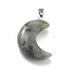 Natural Labradorite Pendants G-Z022-02A-2