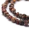 Natural Leopard Skin Jasper Beads Strands G-F465-31-3