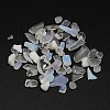 Opalite Chip Beads G-M229-02-1