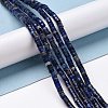 Natural Sodalite Beads Strands G-P468-19-2