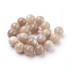 Natural Sunstone Beads Strands X-G-G099-10mm-14-2