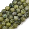 Natural Taiwan Jade Beads Strands X-GSR032-2