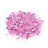 Natural Freshwater Shell Beads BSHE-I011-03D-1