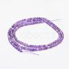 Natural Amethyst Beads Strands G-F460-50-2