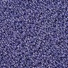 12/0 Grade A Round Glass Seed Beads SEED-N001-B-146-2