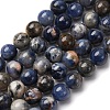 Natural Sodalite Beads Strands G-D481-12B-2
