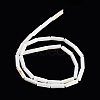 Freshwater Shell Beads Strands BSHE-L037-13-5