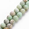 Natural Chrysoprase Beads Strands G-S333-6mm-037-1