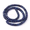 Shell Beads Strands SSHEL-E571-49F-3