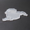 Map Coasters Silicone Molds DIY-O019-07-4