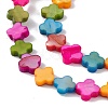 10 Strands Colorful Natural Freshwater Shell Dyed Beads Strands SHEL-M018-03-3