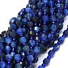 Natural Kyanite Beads Strands G-O201B-18-1