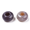 Natural Indian Agate Beads G-WH0019-04-2