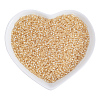FGB 12/0 Transparent Glass Seed Beads SEED-OL0001-02-02-1