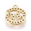 Golden Plated Brass Micro Pave Cubic Zirconia Charms ZIRC-L075-51J-2