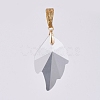 K9 Glass Rhinestone Pendants PALLOY-JF00446-04-2