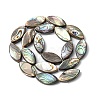 Natural Paua Shell Beads Strands SHEL-F006-05-2