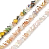 3 Strands 3 Colors  Electroplate Glass Beads Strands EGLA-YW0005-06A-1