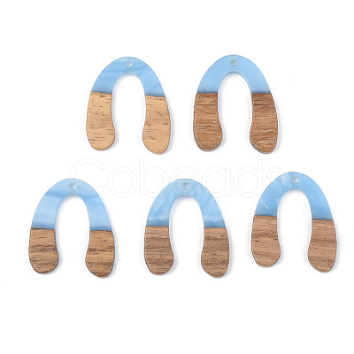 Resin & Walnut Wood Pendants RESI-S389-058B-1