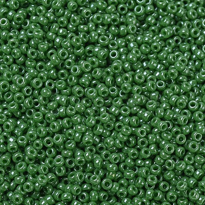 MIYUKI Round Rocailles Beads X-SEED-G007-RR0431-1