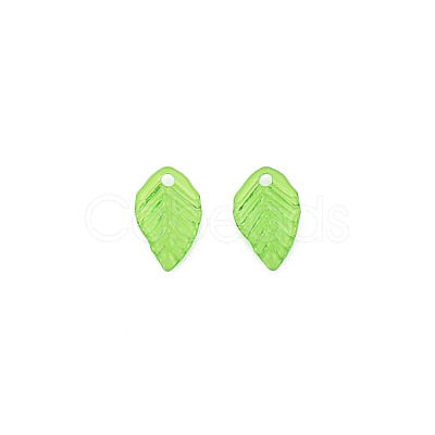Transparent Acrylic Charms TACR-T012-04-1