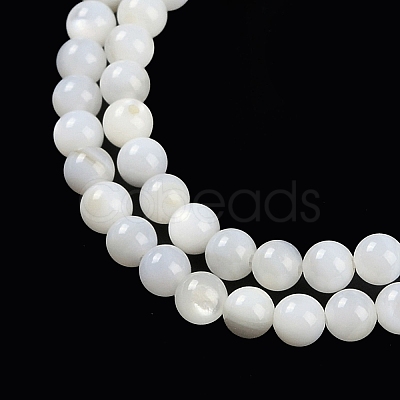 Natural Cultured Freshwater Shell Beads Strands BSHE-H109-03B-1