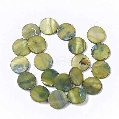 Freshwater Shell Beads Strands SHEL-T014-011D-1