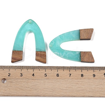 Resin & Wood Pendants WOOD-F015-16D-1