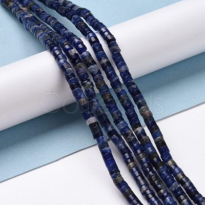 Natural Sodalite Beads Strands G-P468-19-1