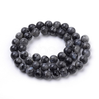 Natural Larvikite Beads Strands G-S259-06-8mm-1