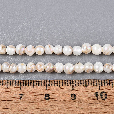 AB Color Natural Freshwater Shell Beads Strands BSHE-T014-40C-1