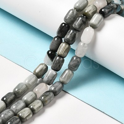 Natural Eagle Eye Stone Beads Strands G-G980-14-1