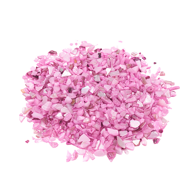 Natural Freshwater Shell Beads BSHE-I011-03D-1