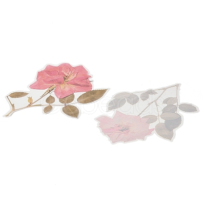 6Pcs Plant PET Adhesive Waterproof Stickers DIY-K074-01B-1