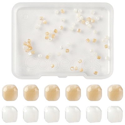60Pcs 2 Colors Natural Trochid Shell/Trochus Shell Beads BSHE-YW0001-24-1