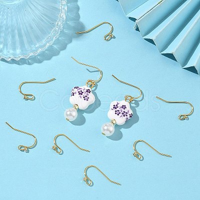 SHEGRACE Brass Earring Hooks XGR0137G-155G-1