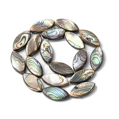 Natural Paua Shell Beads Strands SHEL-F006-05-1