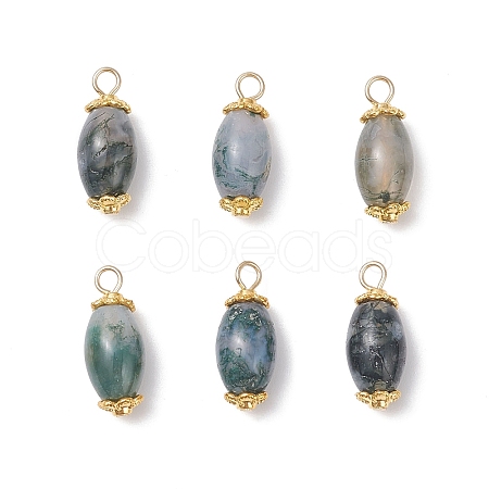 6Pcs Natural Moss Agate(Dyed & Heated) Pendants PALLOY-JF04532-01-1