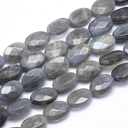 Natural Labradorite Beads Strands G-K223-62B-1