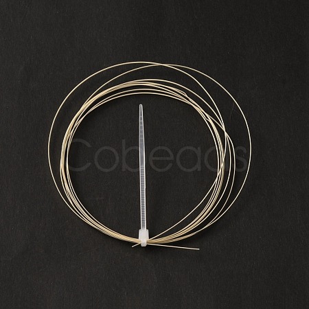 Sterling Silver Wire STER-WH0009-02A-1