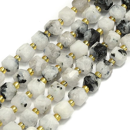 Natural Moonstone Beads Strand G-I376-D81-01-1