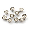 304 Stainless Steel Pendants STAS-Z009-06P-2