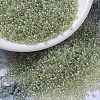 MIYUKI Round Rocailles Beads SEED-JP0008-RR1135-1