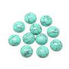 Synthetic Turquoise Cabochons G-R416-6mm-44-1
