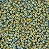 8/0 Glass Seed Beads SEED-S006-31-3