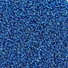 MIYUKI Round Rocailles Beads X-SEED-G007-RR0291-2